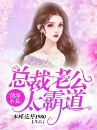 总裁老公情深不晚