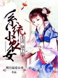 系统寡夫