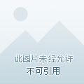 水晶纪念品定制