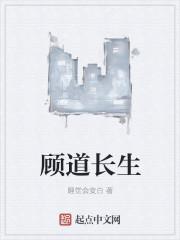 顾道长生境界设定