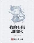 我的右眼有扇次元门