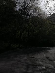 凝望是什么意思啊