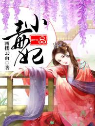 一品毒妃全文免费阅读1019章