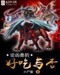 后来偏偏喜欢你 公子衍